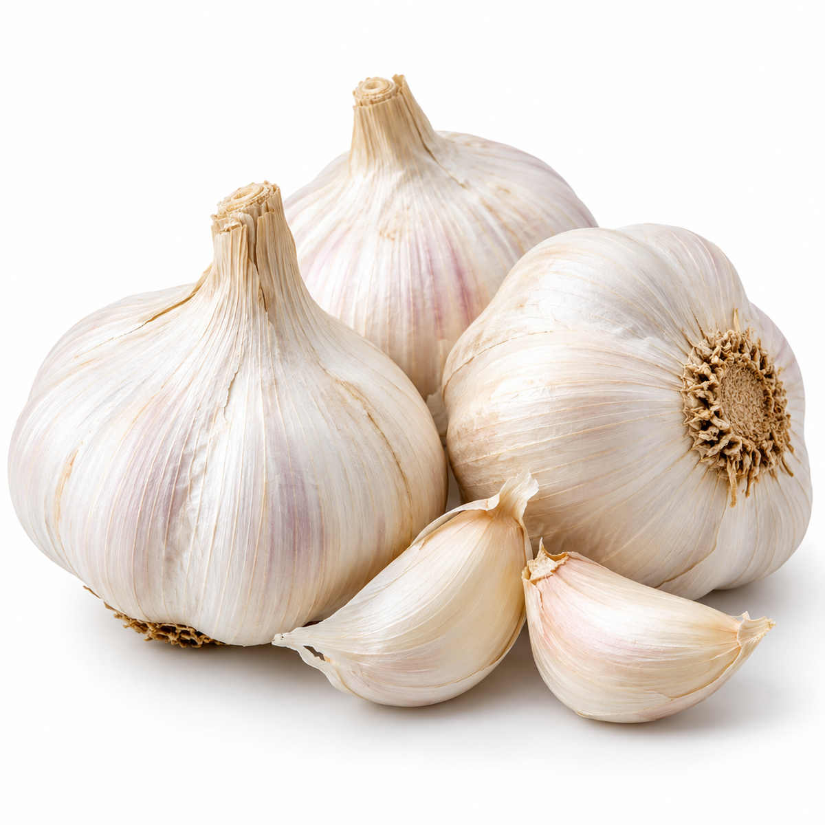 Fresh garlic bulbs