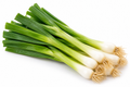 Fresh spring onions