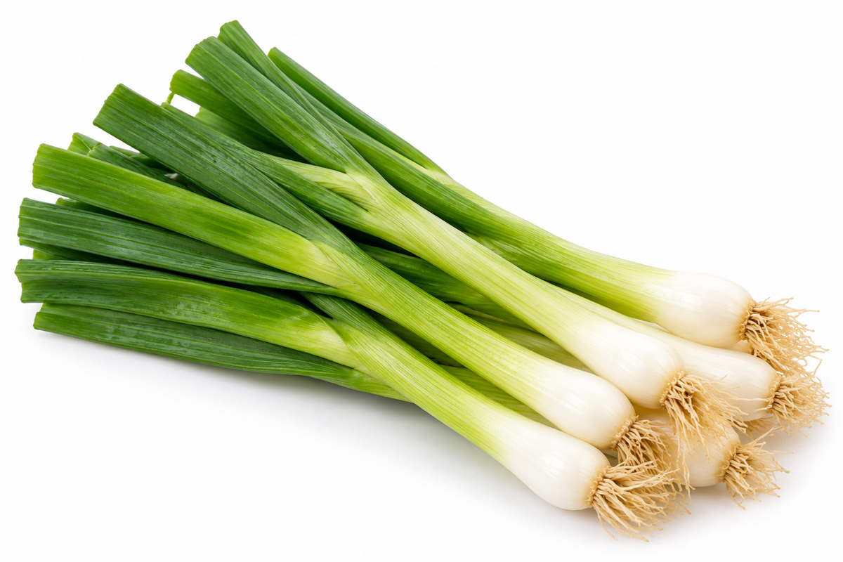 Fresh spring onions