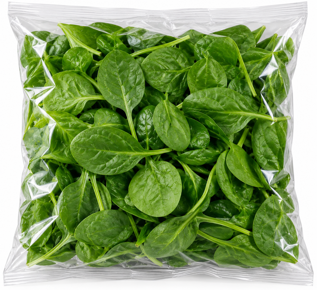Fresh baby spinach leaves in a bag