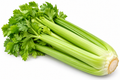 Fresh celery head