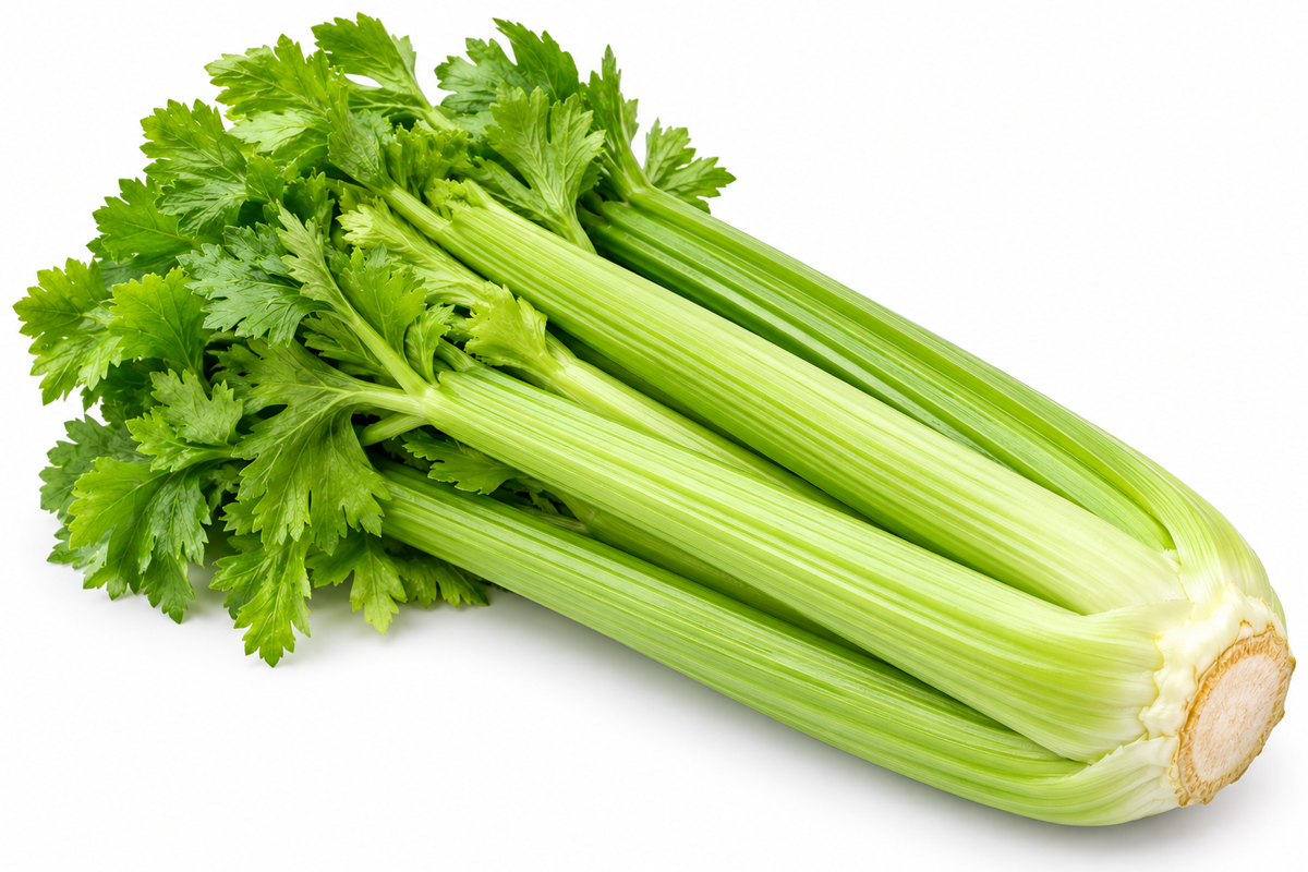 Fresh celery head